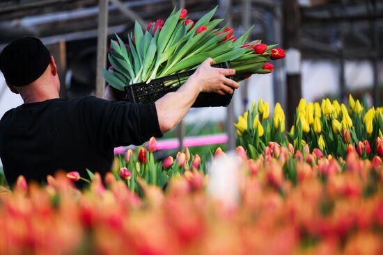 Russia Flower Growing