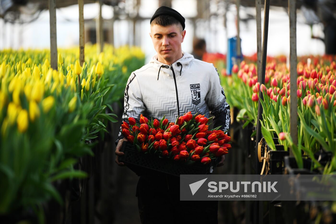 Russia Flower Growing