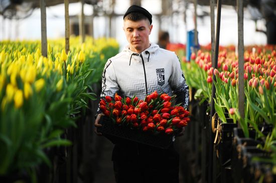 Russia Flower Growing