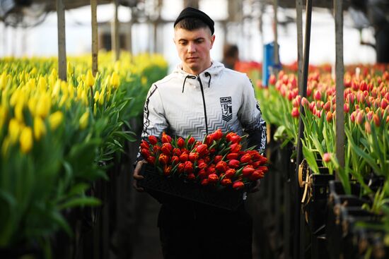 Russia Flower Growing