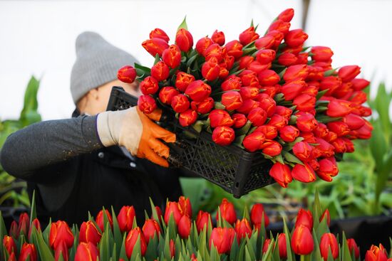 Russia Flower Growing