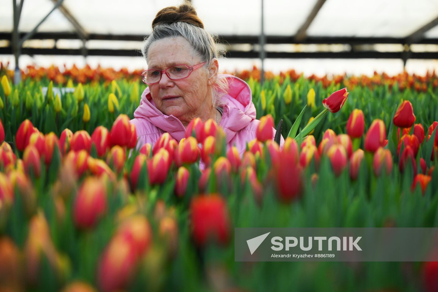 Russia Flower Growing