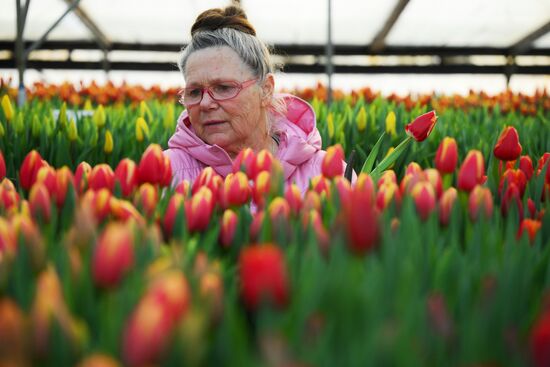 Russia Flower Growing