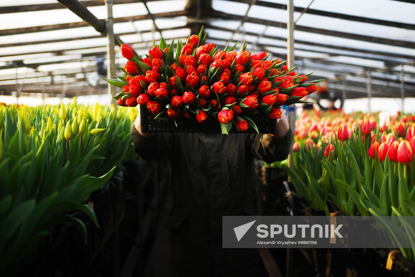 Russia Flower Growing