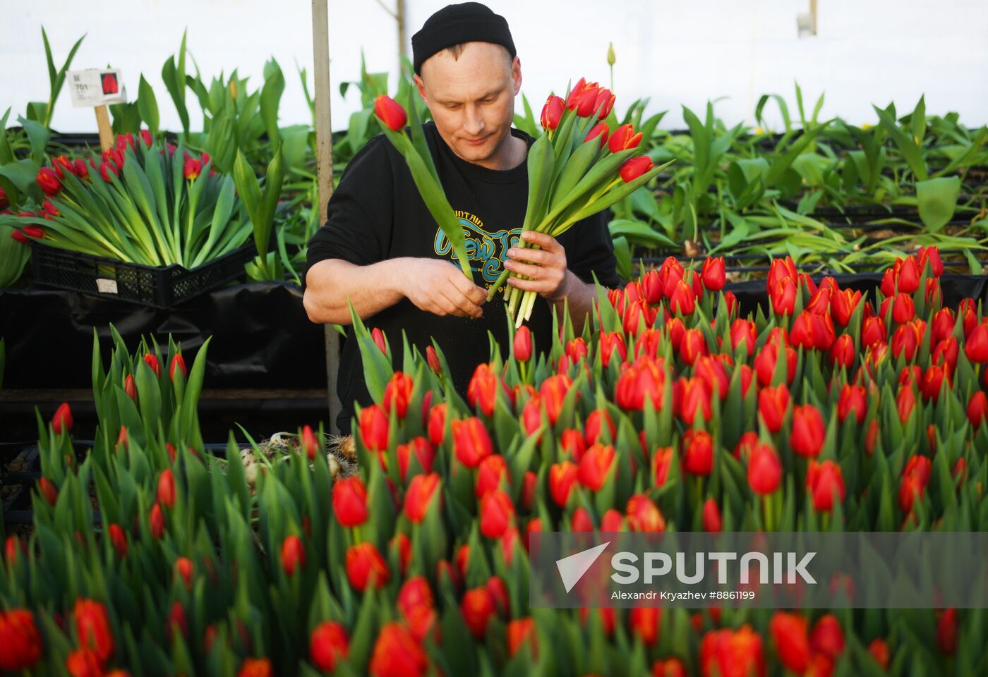 Russia Flower Growing