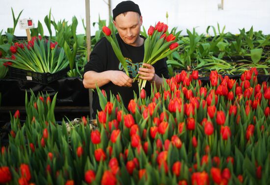 Russia Flower Growing
