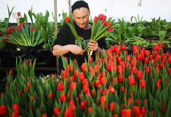 Russia Flower Growing