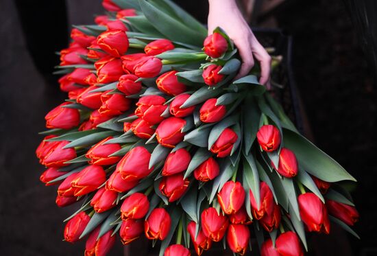 Russia Flower Growing