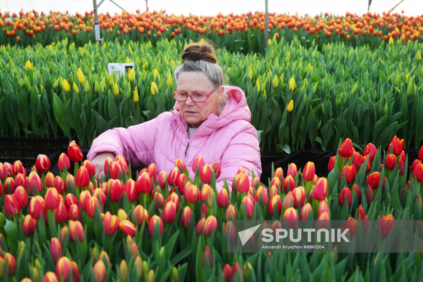 Russia Flower Growing