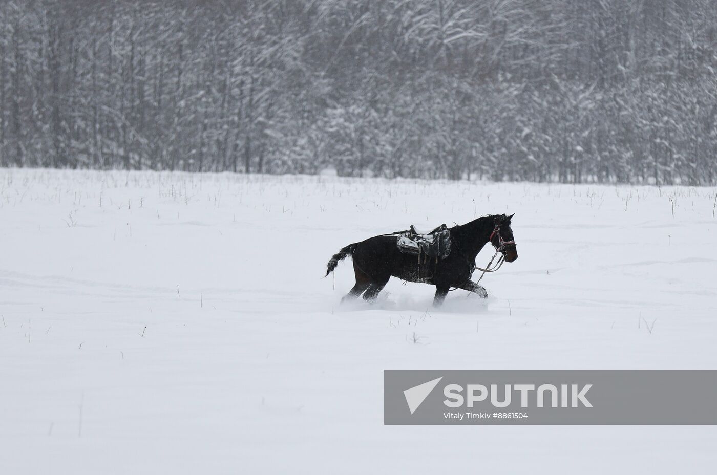 Russia Weather
