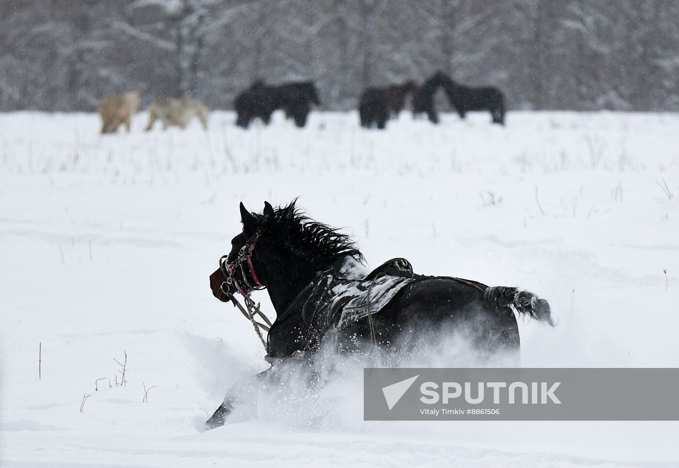 Russia Weather