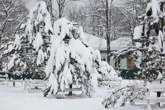 Russia Weather
