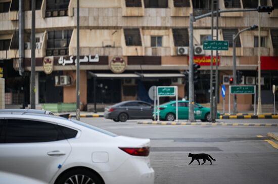 Saudi Arabia Daily Life