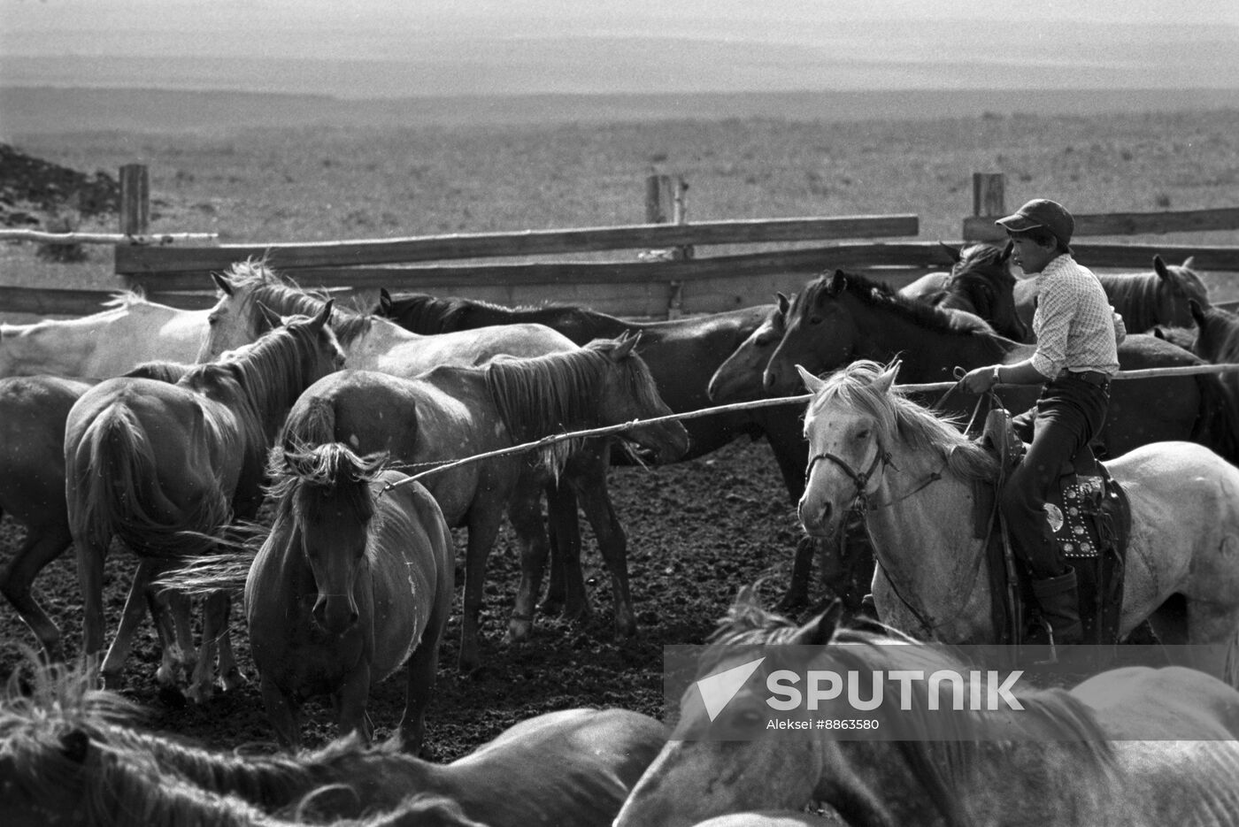Riding school in Aginsky town of Trans-Baikal Territory