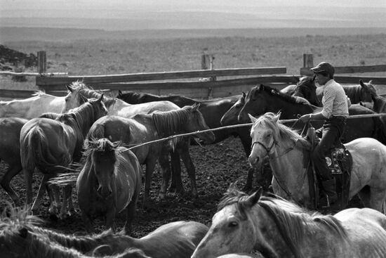 Riding school in Aginsky town of Trans-Baikal Territory
