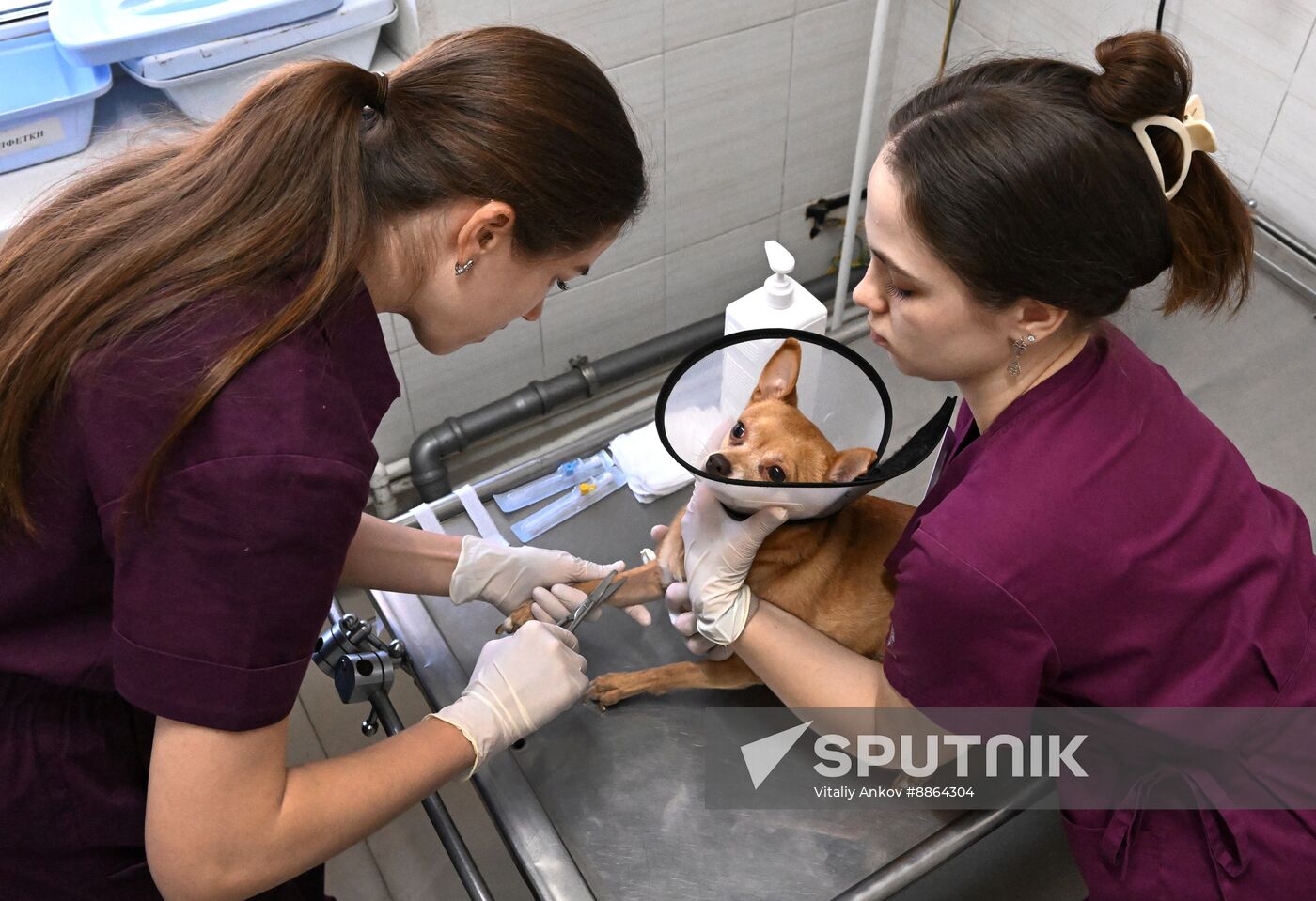 Russia Veterinary Clinic
