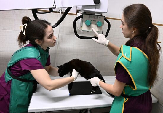 Russia Veterinary Clinic