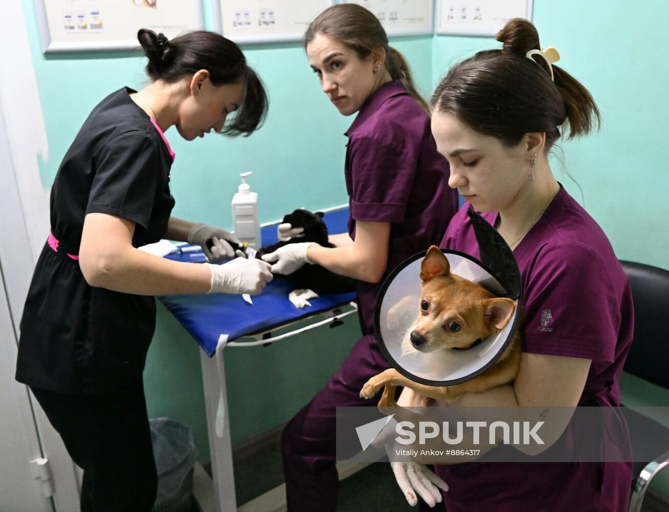 Russia Veterinary Clinic