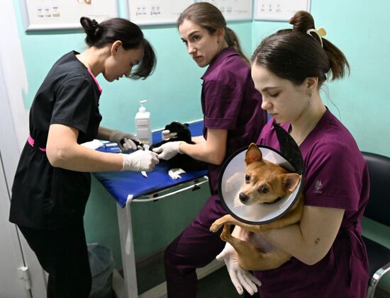 Russia Veterinary Clinic