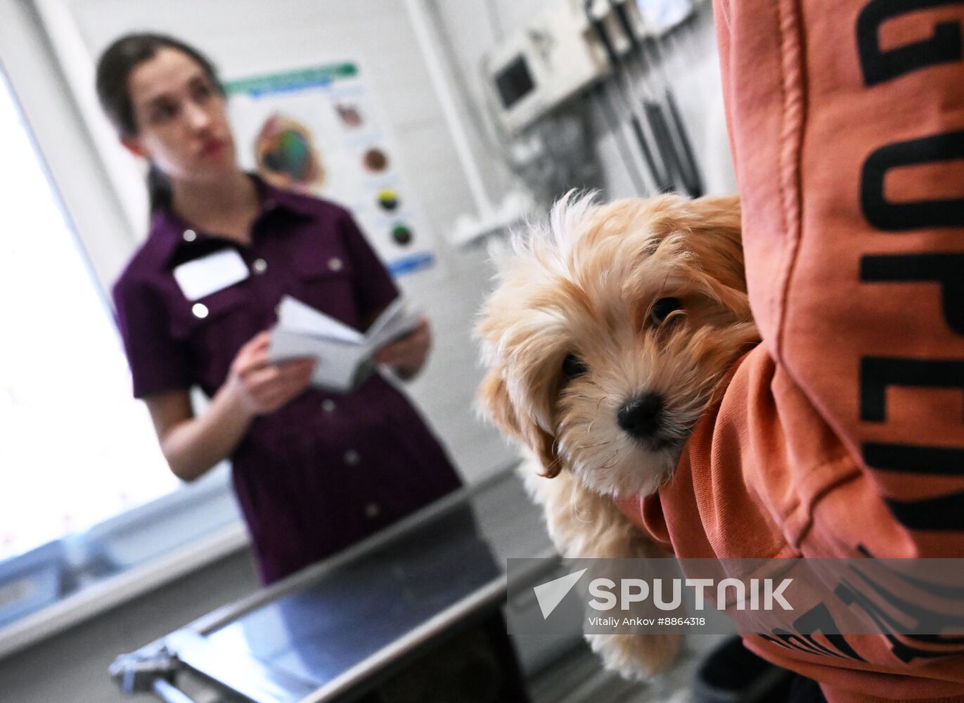 Russia Veterinary Clinic