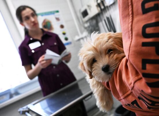 Russia Veterinary Clinic