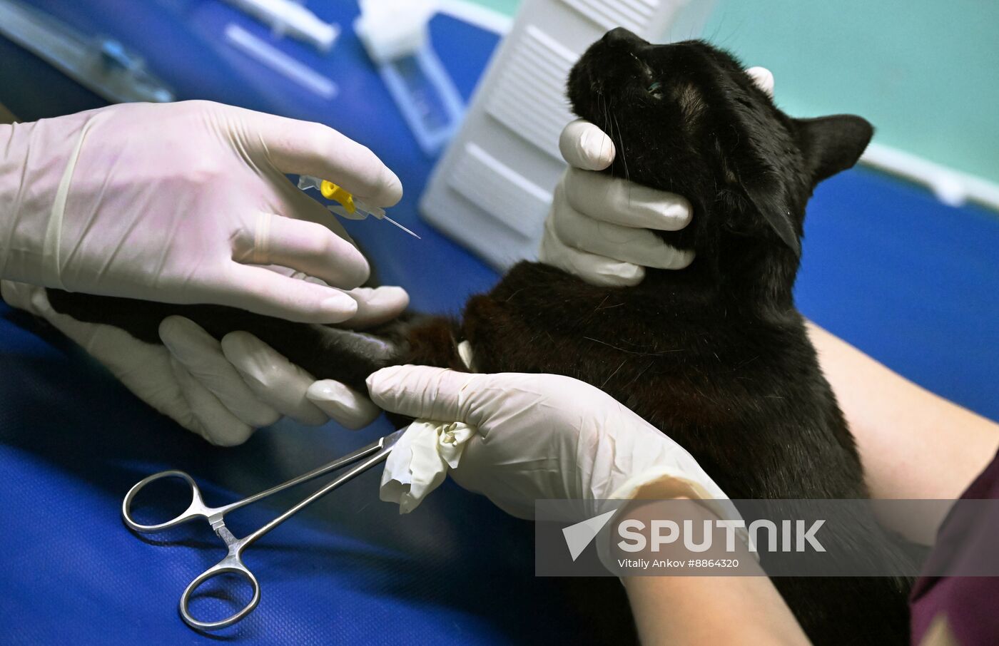 Russia Veterinary Clinic