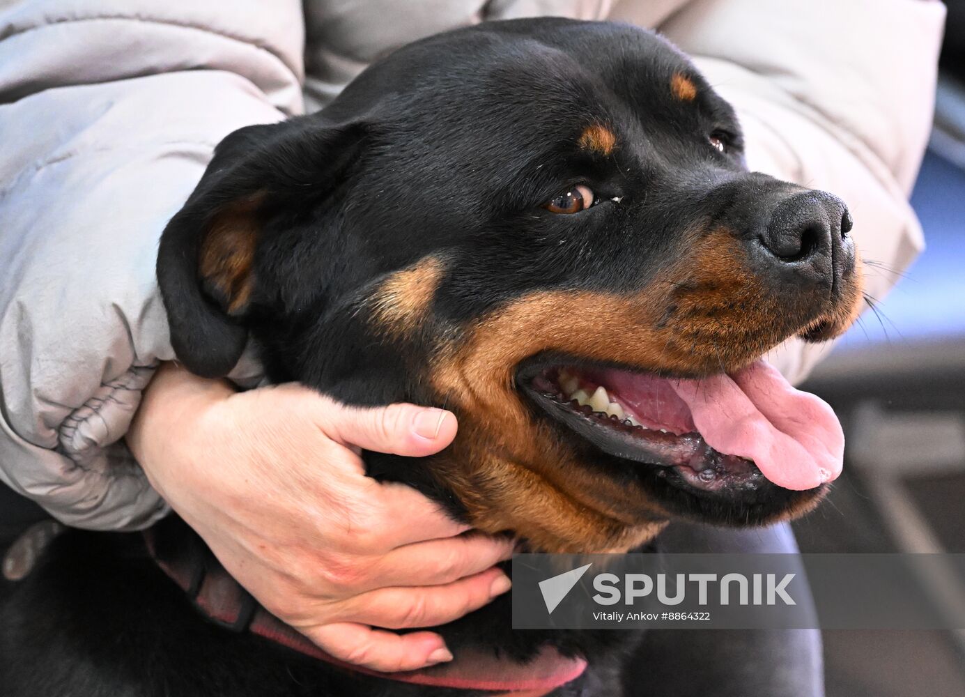Russia Veterinary Clinic