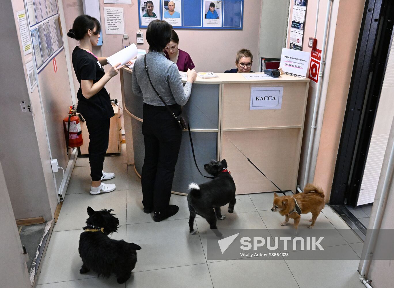 Russia Veterinary Clinic