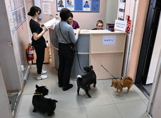 Russia Veterinary Clinic