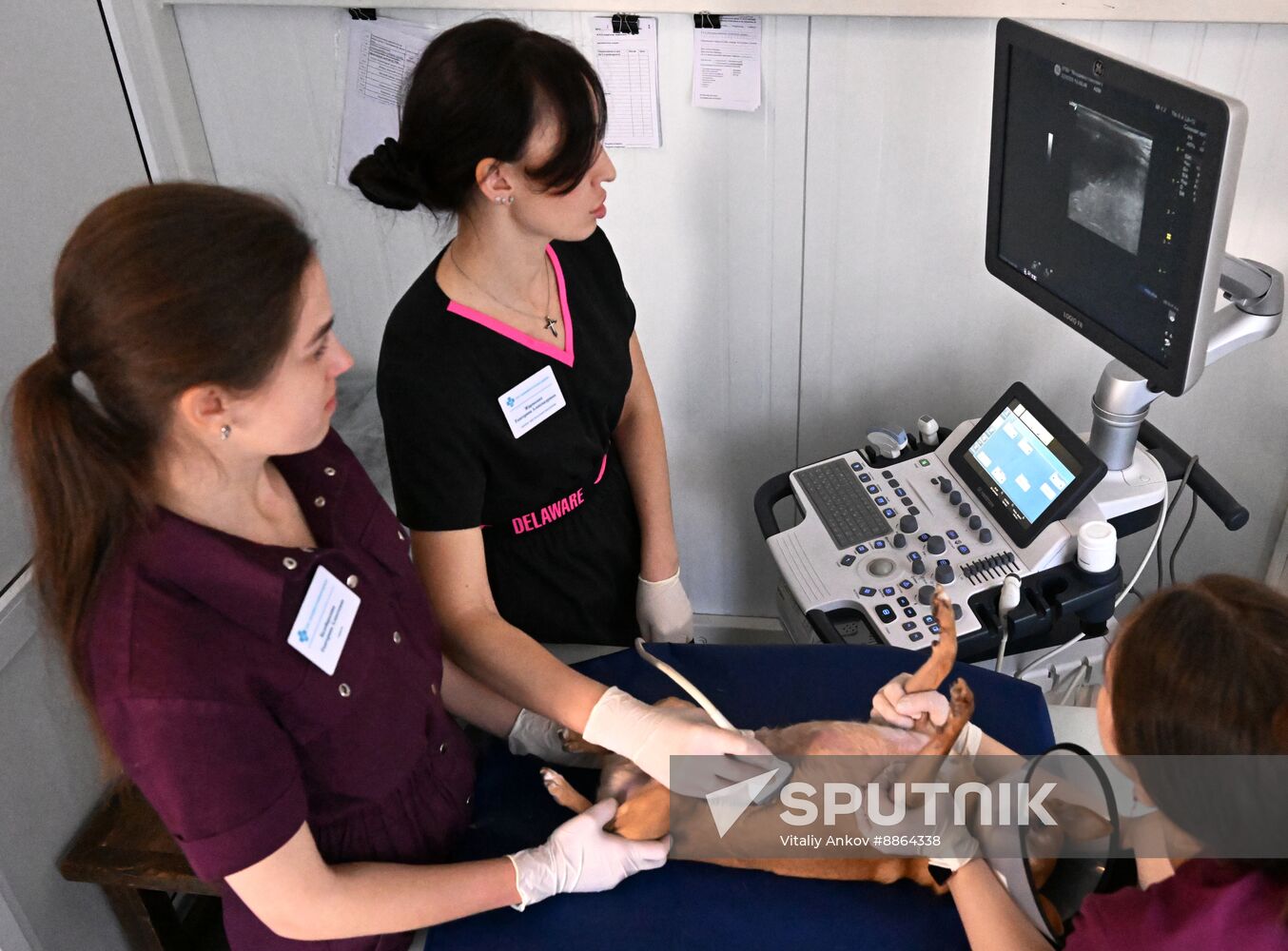 Russia Veterinary Clinic