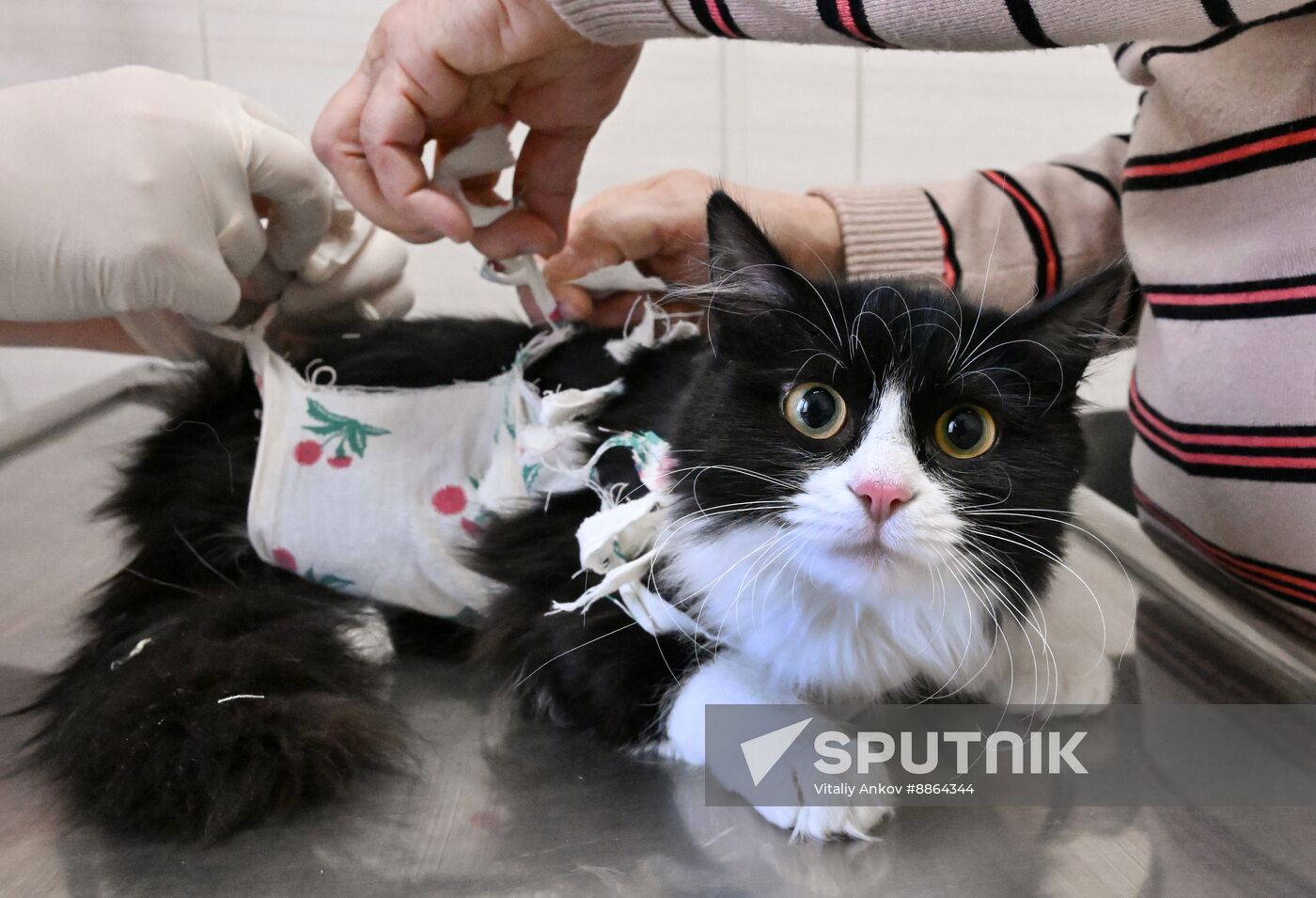 Russia Veterinary Clinic