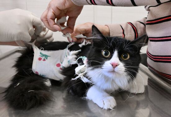 Russia Veterinary Clinic
