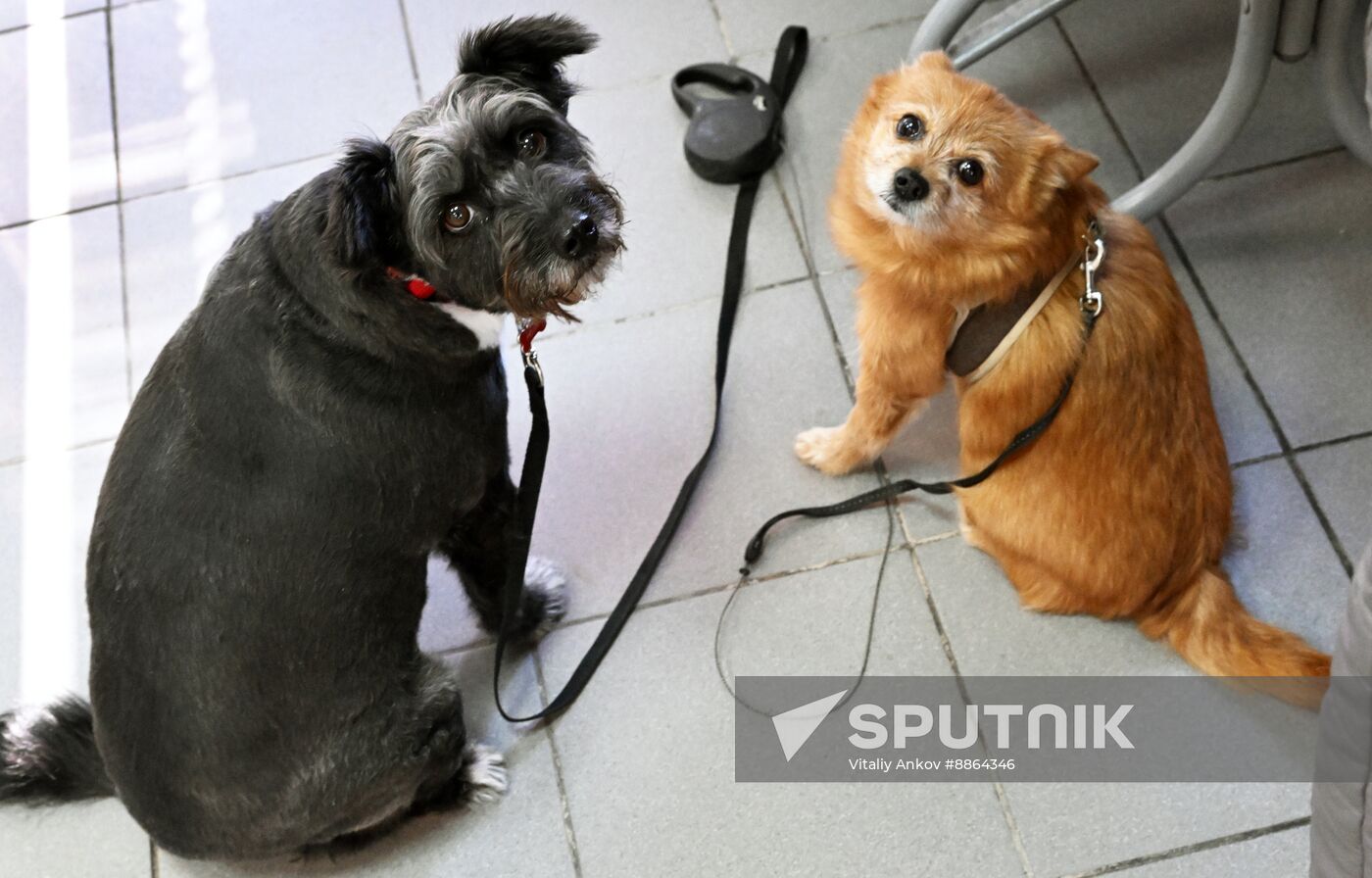 Russia Veterinary Clinic