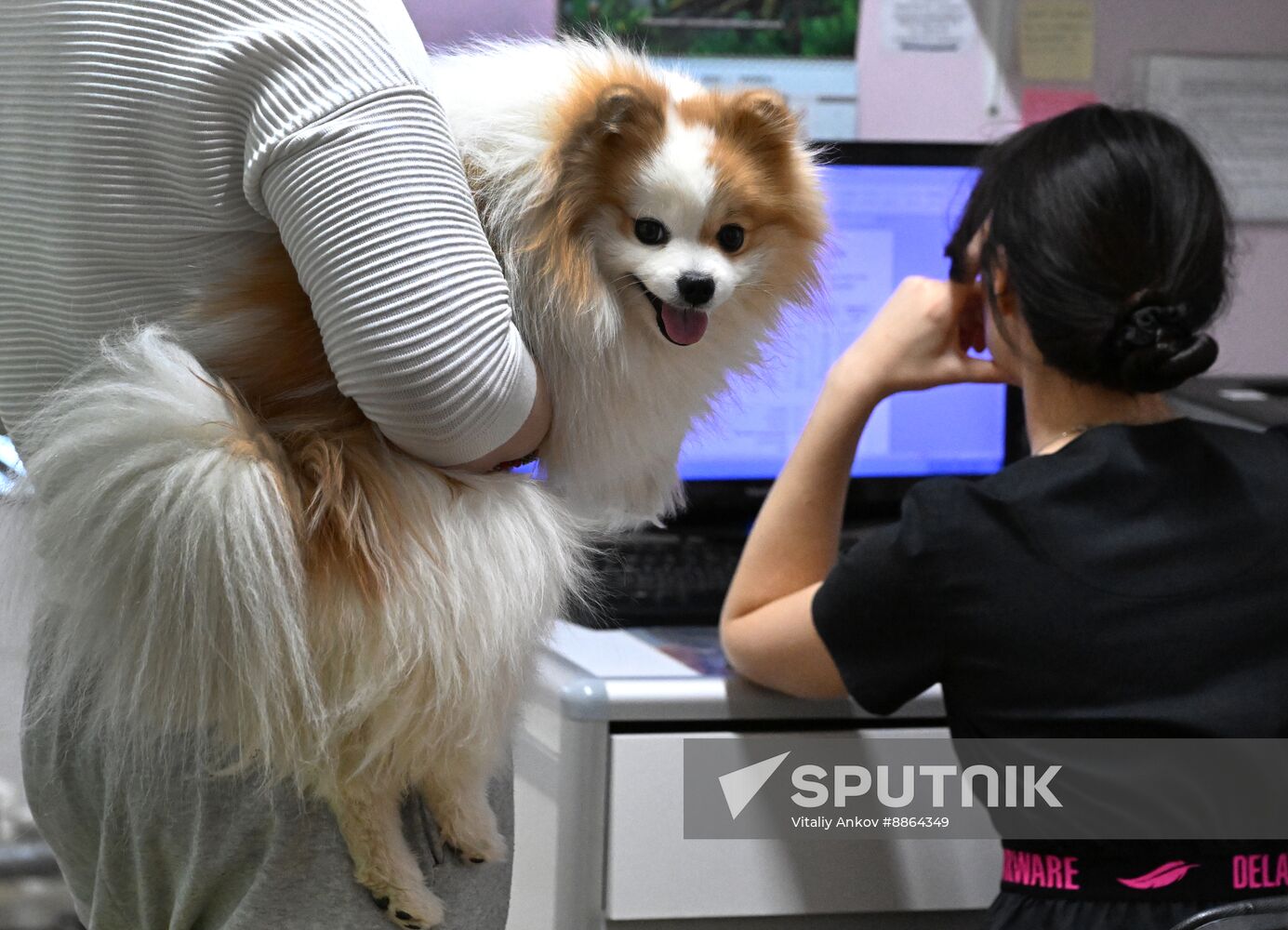 Russia Veterinary Clinic