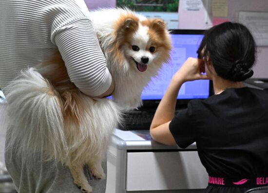Russia Veterinary Clinic