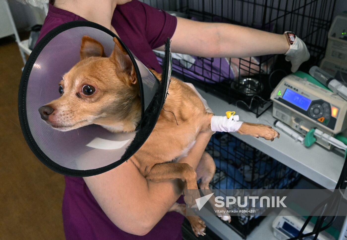 Russia Veterinary Clinic