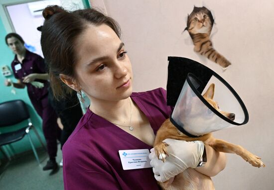 Russia Veterinary Clinic