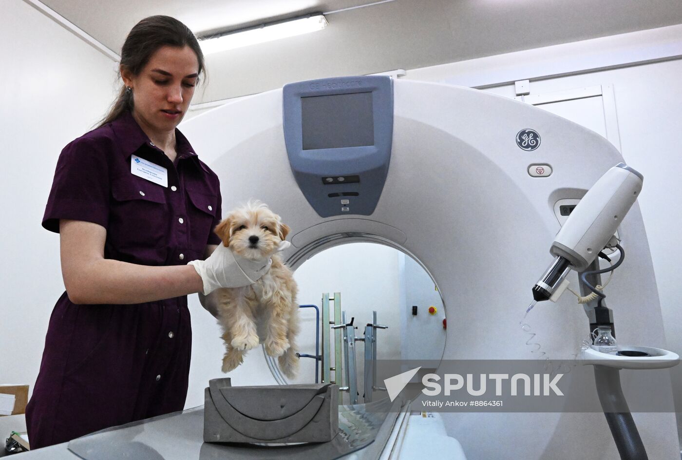 Russia Veterinary Clinic