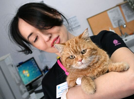 Russia Veterinary Clinic