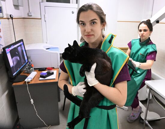 Russia Veterinary Clinic