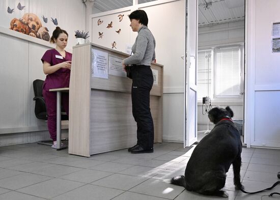 Russia Veterinary Clinic