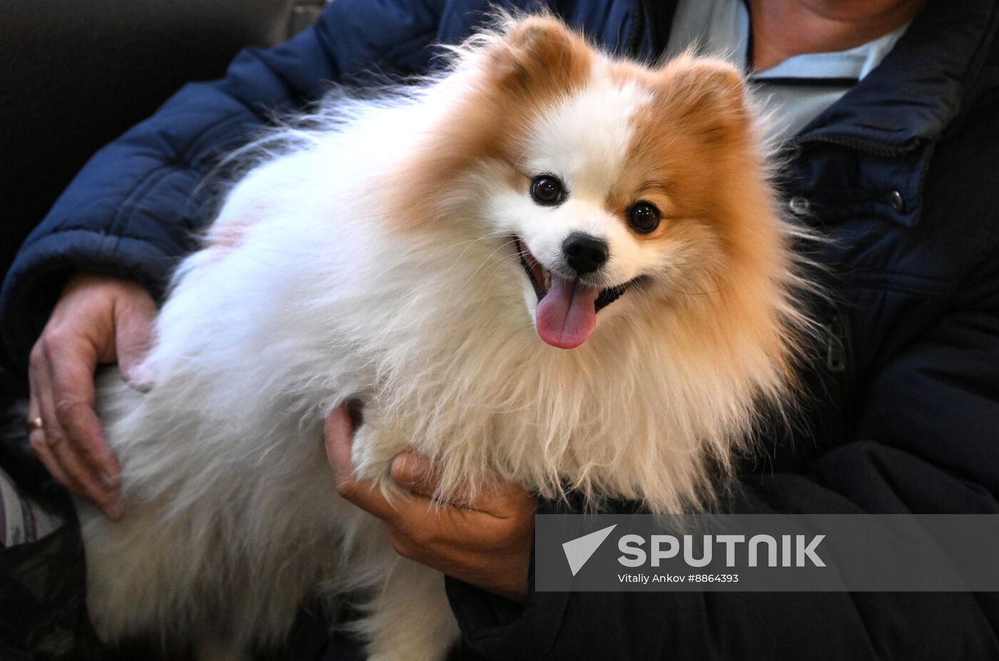 Russia Veterinary Clinic