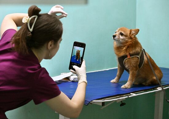 Russia Veterinary Clinic