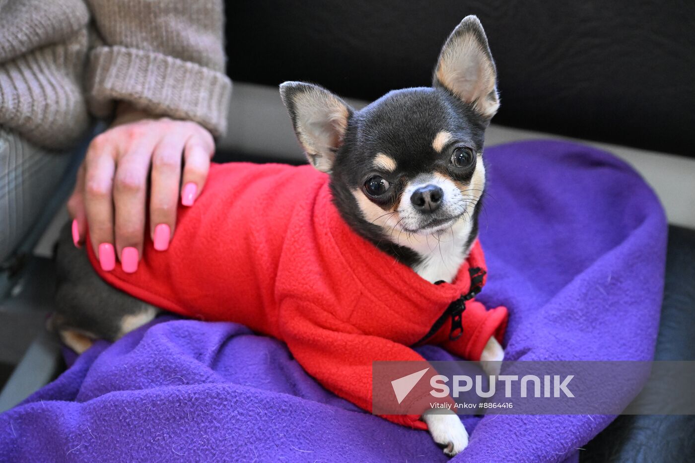 Russia Veterinary Clinic