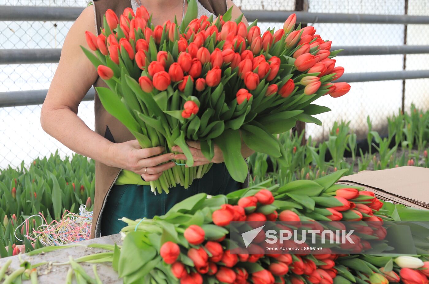 Russia Flower Growing