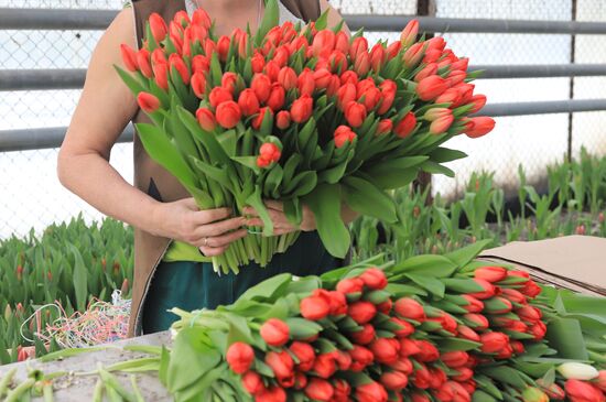 Russia Flower Growing