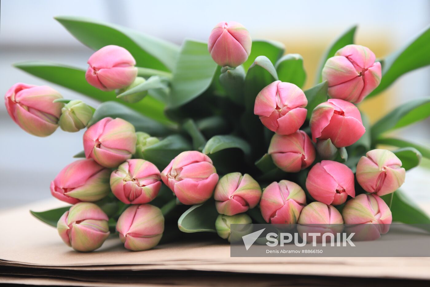 Russia Flower Growing