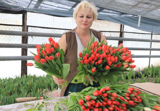 Russia Flower Growing
