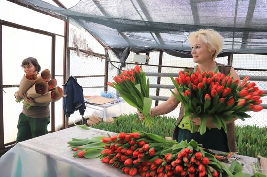 Russia Flower Growing