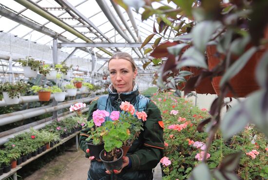 Russia Flower Growing